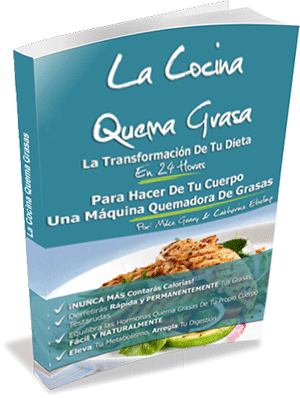 The Fat Burning Kitchen Program