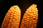 alimentos que te hacen engordar